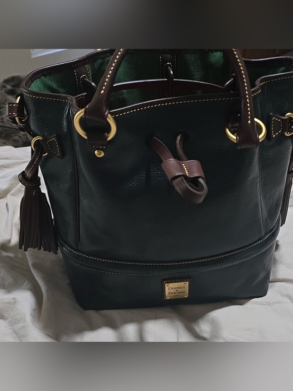 Dooney & Bourke Deep Teal Drawstring Satchel Gold Hardware Tassel Accent EUC - Picture 4 of 9
